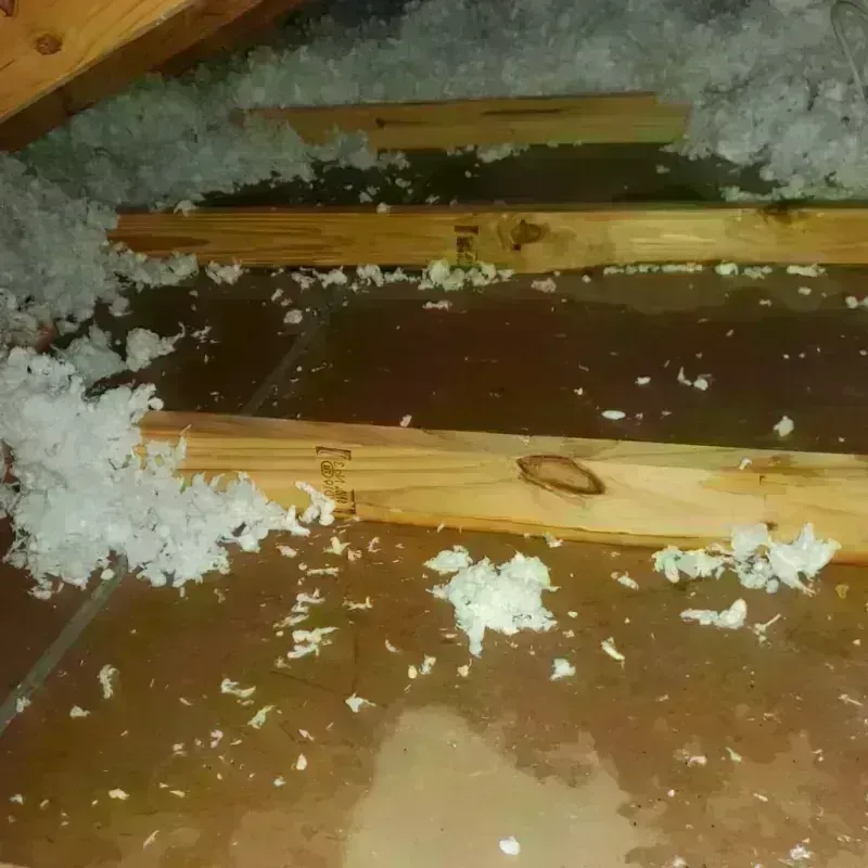 Attic Water Damage in Arlington, MA